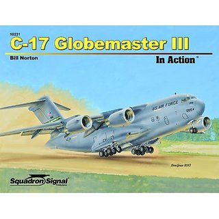 Squadron - C-17 Globemaster III (In Action)