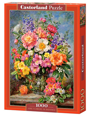 Castorland - June Flowers in Radiance (1000pcs)