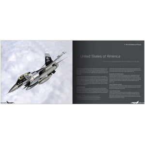 Aircraft in Detail: Ode to the Falcon (HardCover)