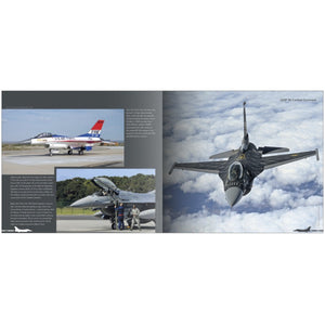Aircraft in Detail: Ode to the Falcon (HardCover)