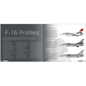 Aircraft in Detail: Ode to the Falcon (HardCover)