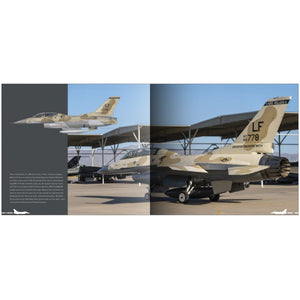 Aircraft in Detail: Ode to the Falcon (HardCover)