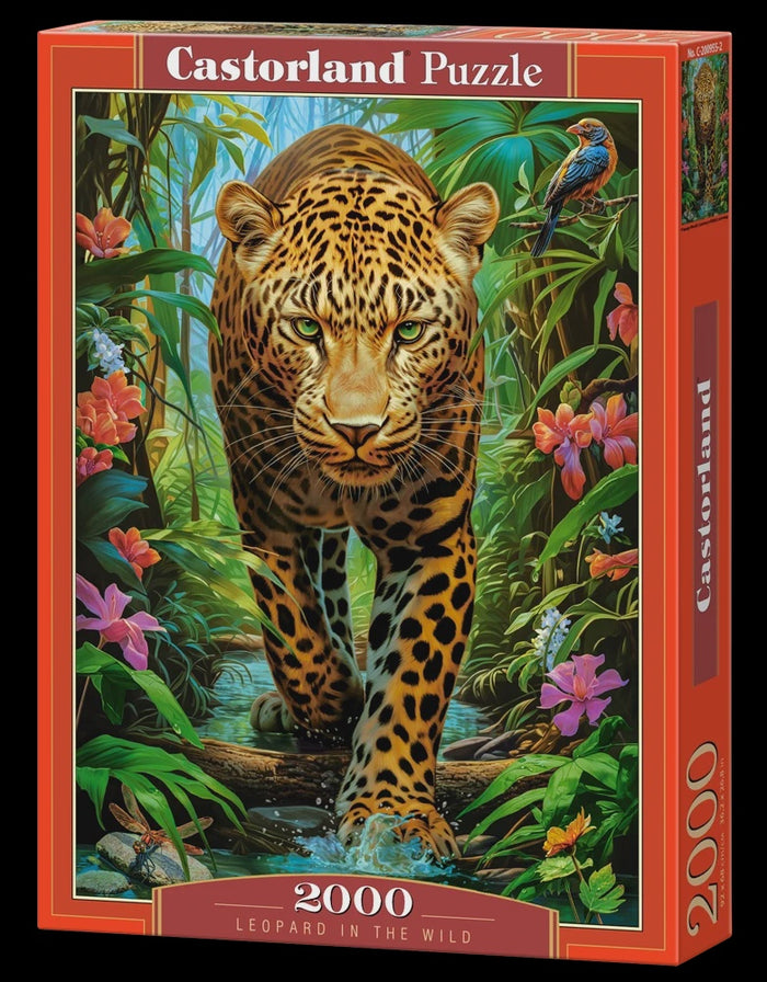 Castorland - Leopard in the Wild (2000 pcs)