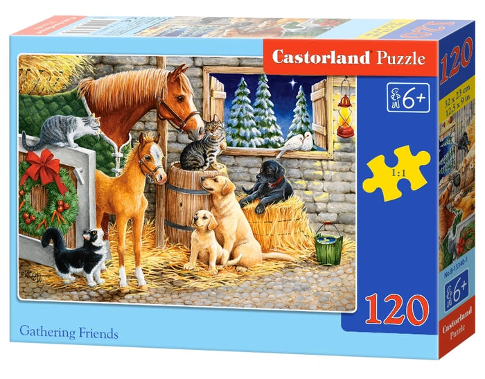 Castorland - Gathering Friends (120pcs)