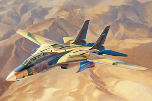 Box art of the Hobby Boss - 1/48 F-14A Tomcat IRIAF "Persian Cat"