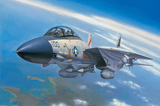 Hobby Boss - 1/72  F-14A Tomcat (80276)