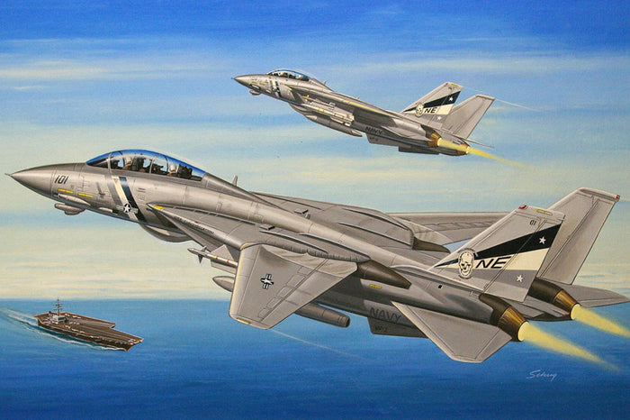 Hobby Boss - 1/72 F-14d Super Tomcat (80278)