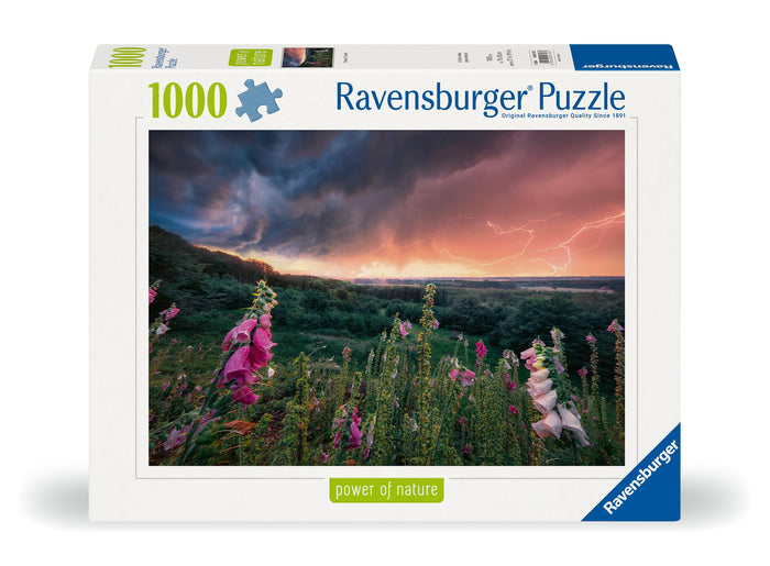 Ravensburger - Dreamy Thunder (1000pcs)
