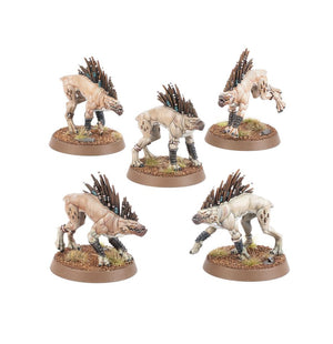 GW - Warhammer 40k T'au Empire: Kroot Hounds (56-58)