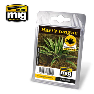 AMMO - Hart's Tongue (Laser Cut Plants)