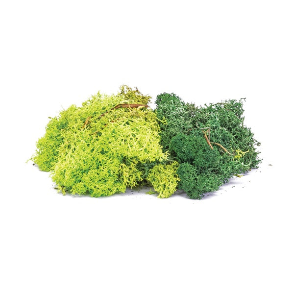 Hornby - R7194 Lichen Green Mix (35g)
