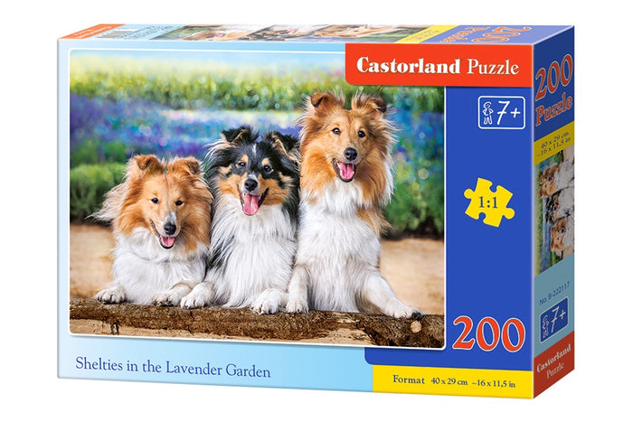 Castorland - Shelties in the Lavender Garden (200pcs)