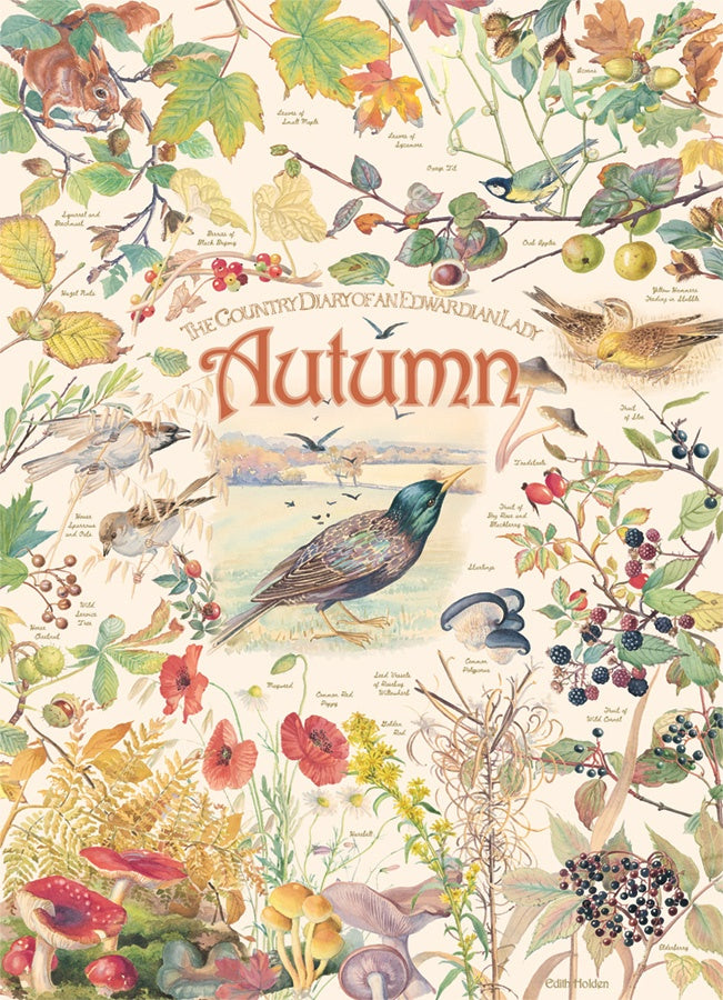 Cobble Hill - Country Diary: Autumn (1000pcs)