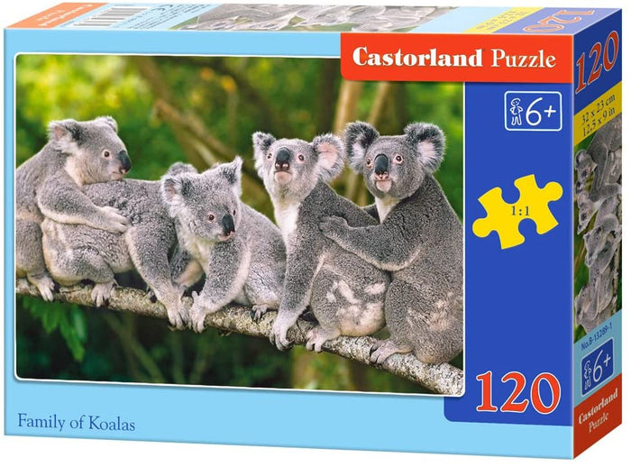 Castorland - Family of Koalas (120pcs)