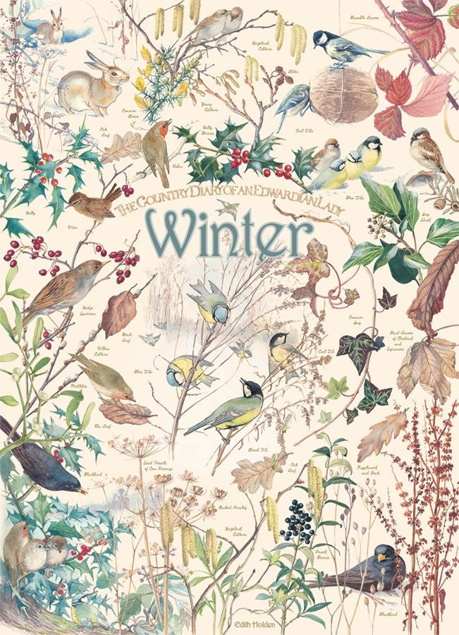Cobble Hill - Country Diary: Winter (1000pcs)