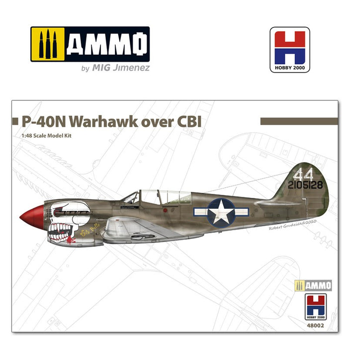 Hobby 2000 - 1/48 P-40N Warhawk Over CBI