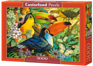  Castorland Puzzle 3000 Pieces - Flowering, Paris : Toys & Games