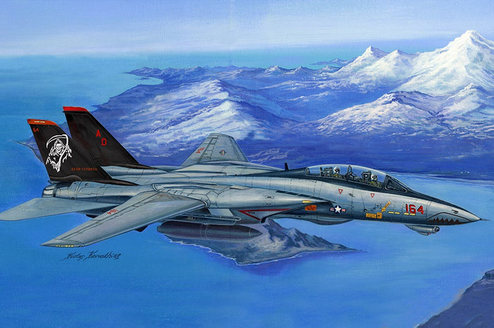 Hobby Boss - 1/48 F-14D Super Tomcat (80368)