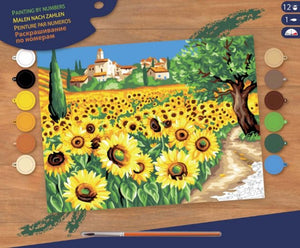 KSG - Paint By Numbers Senior - Sunflowers