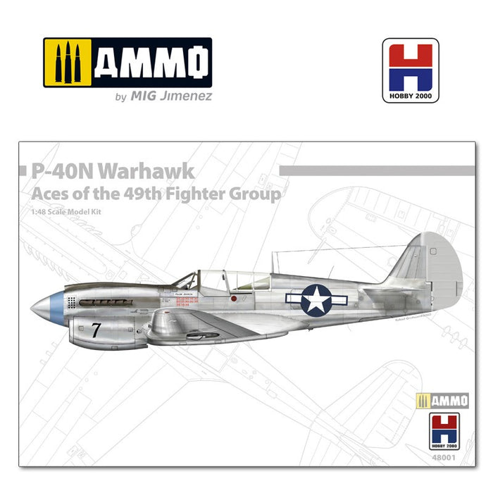 Hobby 2000 - 1/48 P-40N Warhawk Aces of The 49th Fighter Group