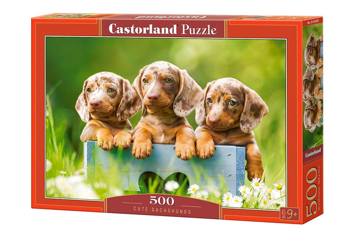 Castorland - Cute Dachshunds (500 pieces)