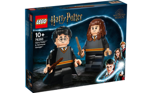 LEGO - Harry Potter & Hermione Granger (76393)