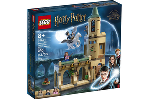 LEGO - Hogwarts Courtyard Sirius's Rescue (76401)
