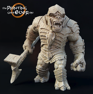 RGB Dungeon - War Troll V1 (The Printing Goes Ever On)