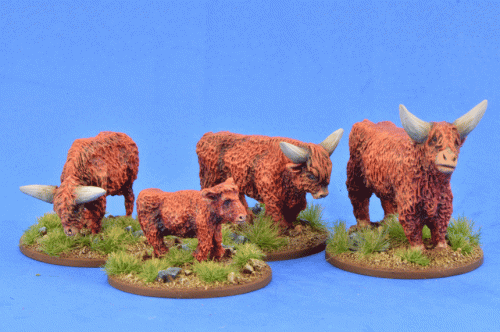 Gripping Beast - Highland Cattle
