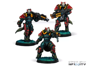 Infinity - Combined Army: Rodoks - Armed Imposition Detachment