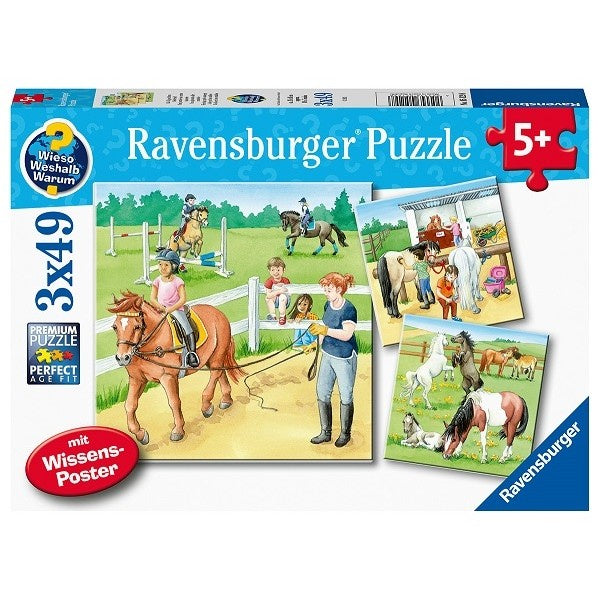 Ravensburger - A Day At The Stables (3x49pcs)