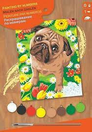 KSG - Paint By Numbers Junior - Pug