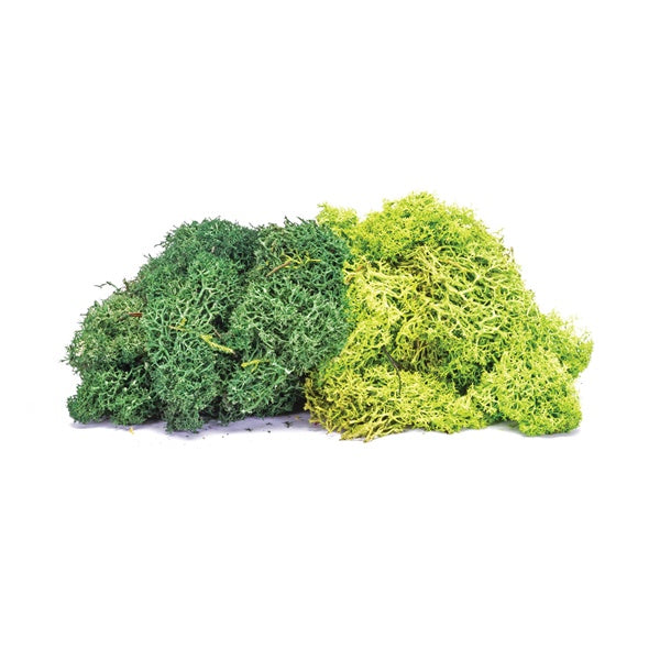 Hornby - R7195 Lichen Green Mix (75g)